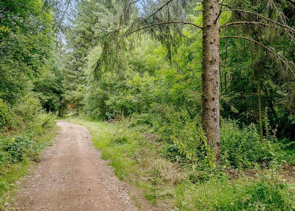 فندق Hornbeam Country Park هونيتون المظهر الخارجي الصورة